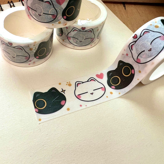 C&T washi tape