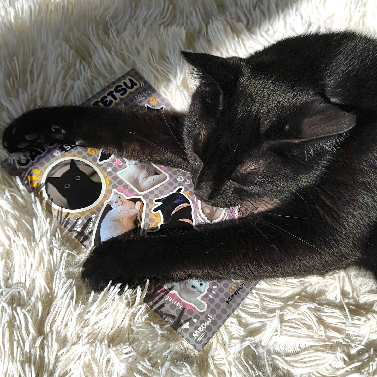 CATSBY & TETSU vinyl sticker sheet