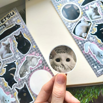 CATSBY & TETSU vinyl sticker sheet