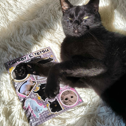 CATSBY & TETSU vinyl sticker sheet