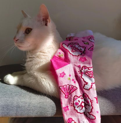 SAKURA CAT cotton socks :3