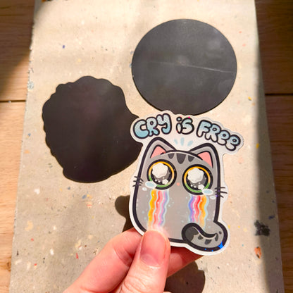 FUNNY CATS fridge magnets set